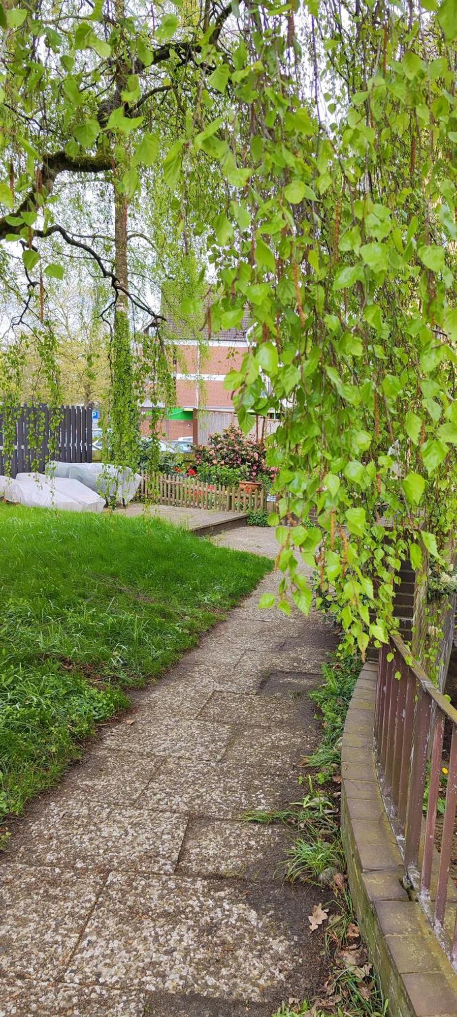 Ferienwohnung Im Herzen Der Lueneburger Heide Soltau Eksteriør bilde